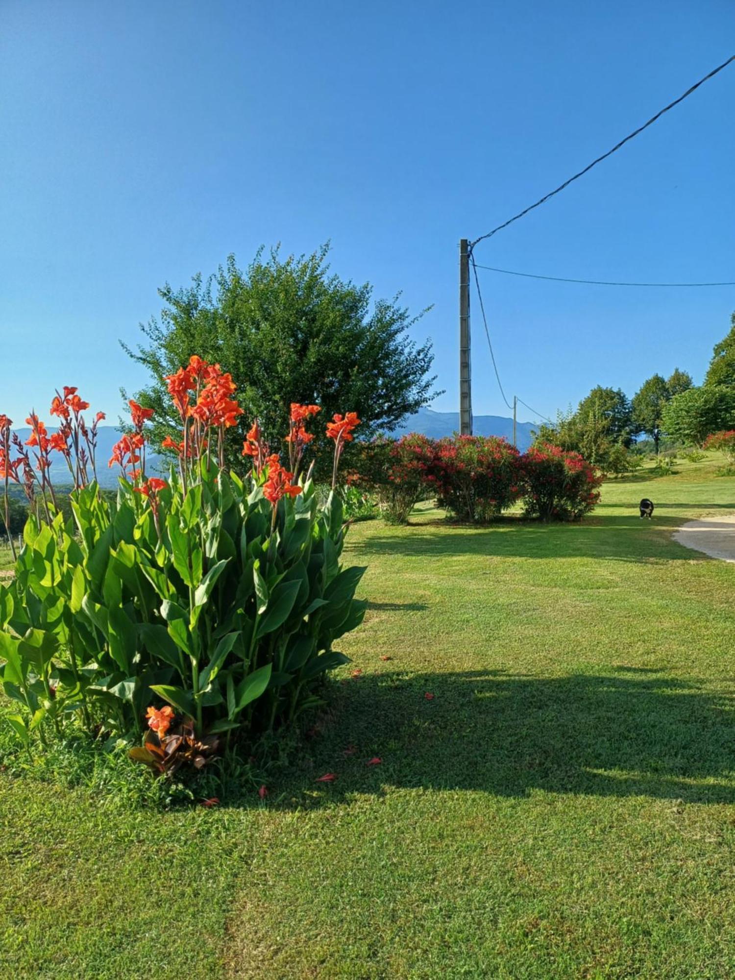 Le Pouyet Apartment Saint-Lattier ภายนอก รูปภาพ